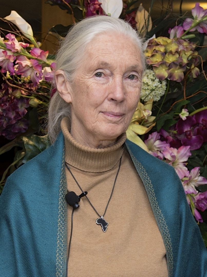 Jane Goodall Is Born