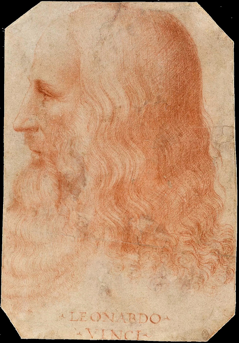 Leonardo Buys Birds Just to Set Them Free