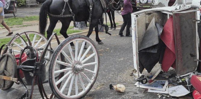 A Teenager Died in Central Park. His Family Is Now Asking for the Ban.