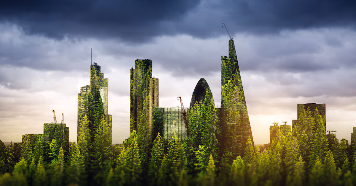 UK Announces Anti-Deforestation Supply Chain Rules Mirroring EU Regulation