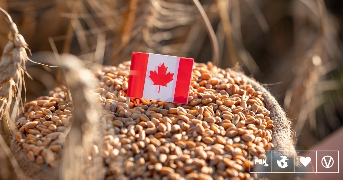 Canada's $2.1B food strategy leaves plant protein out
