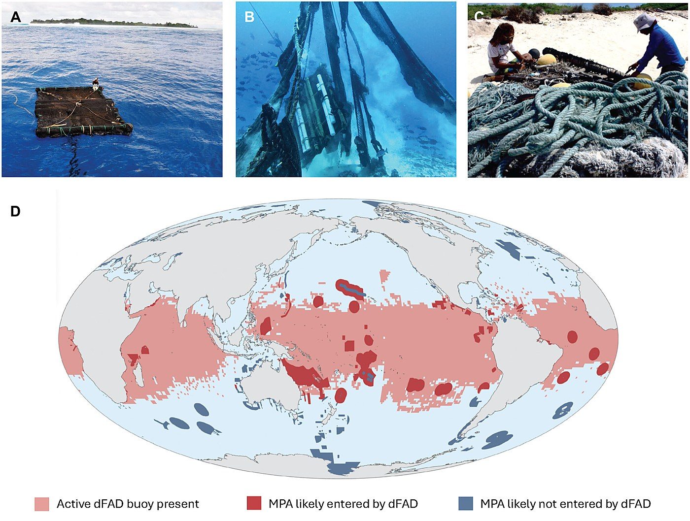Tuna fishing gear is drifting into marine protected areas worldwide