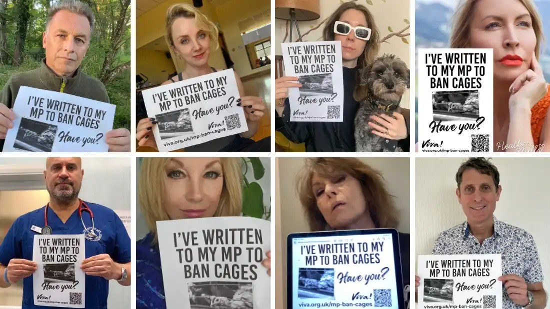 UK Celebrities Back Push to Ban Enriched Colony Cages