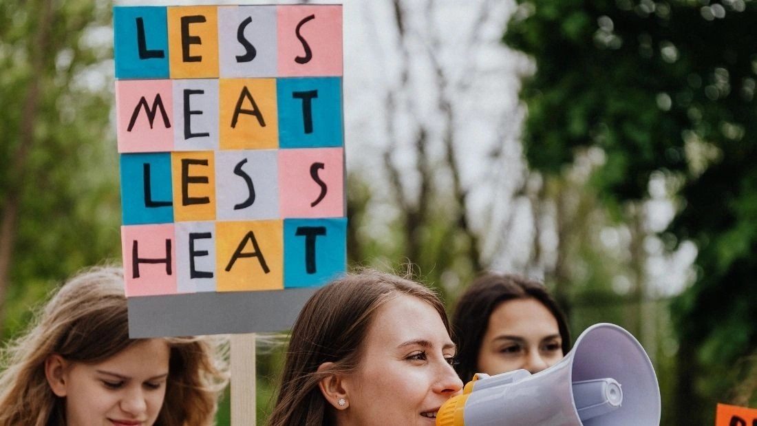 UK government releases two reports that contradict each other on meat