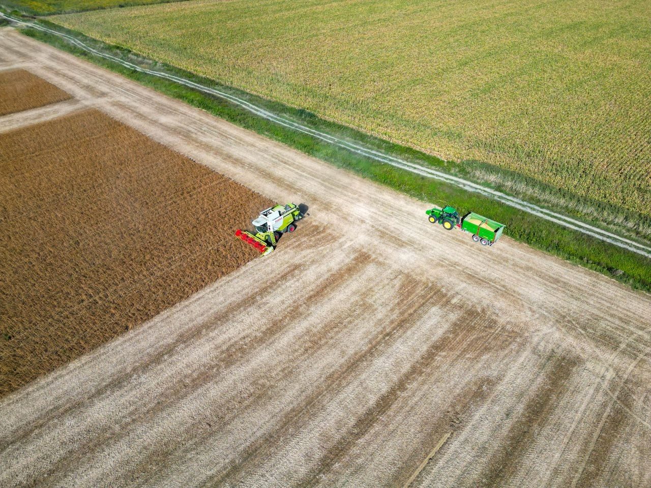 EU Protein Plan Binds Feed, Leaves Food Voluntary