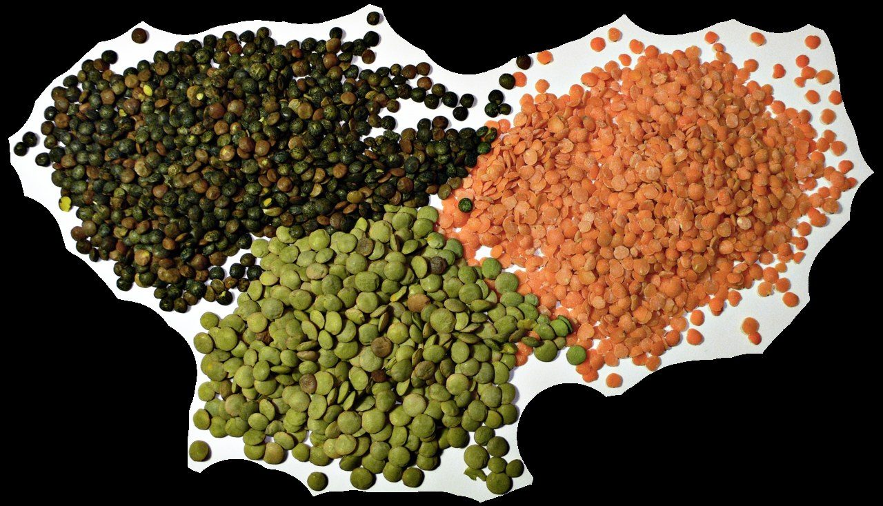 Meta-analysis finds only healthful plant-based diets lower cancer risk