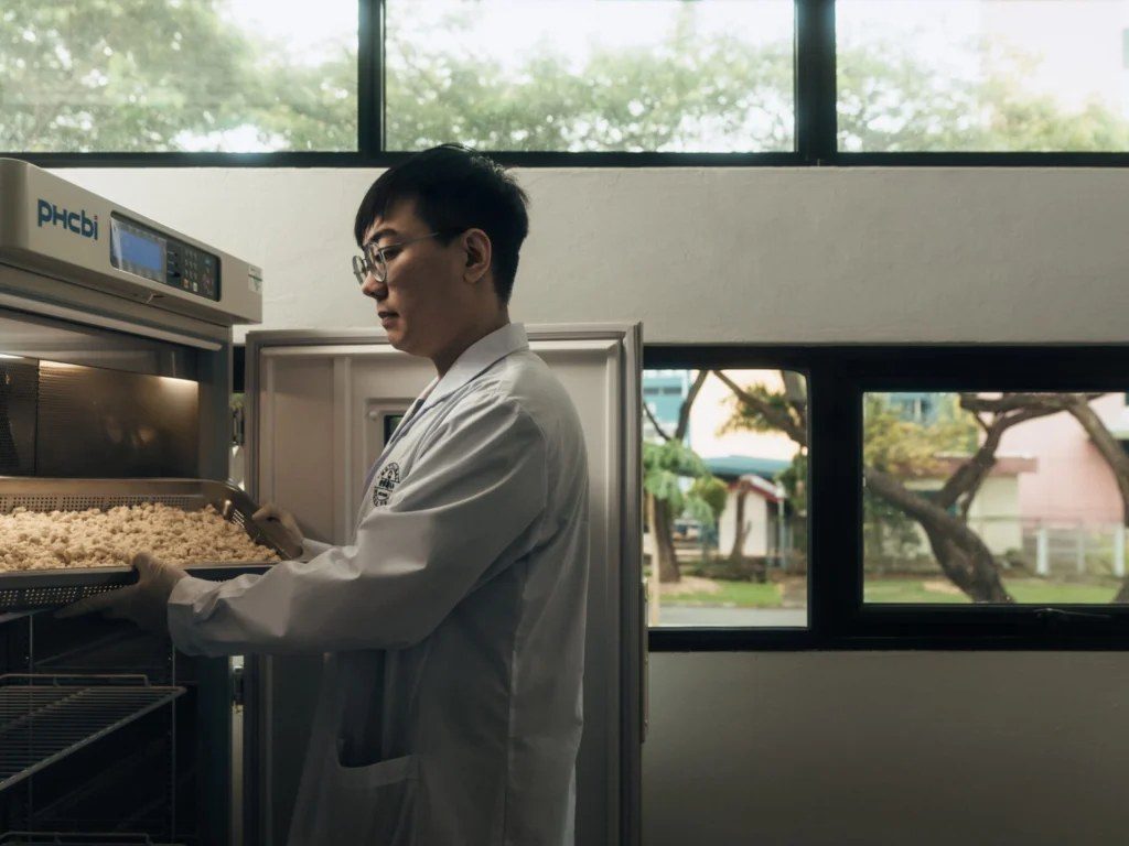 Singapore funds three startups turning food waste into vegan protein