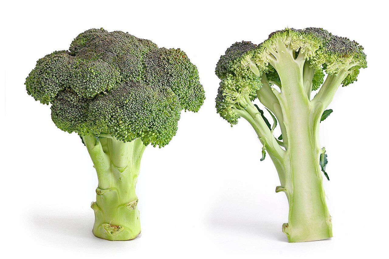 Vegan Diets Cut Total Cancer Risk 23% in Meta-Analysis of Prospective Studies