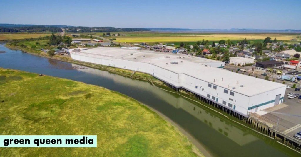 No Meat Factory shutters $19M Washington plant, laying off 123 workers