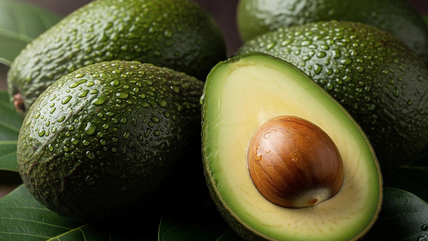 Daily avocado trial lowers LDL particles, cuts heart risk modestly