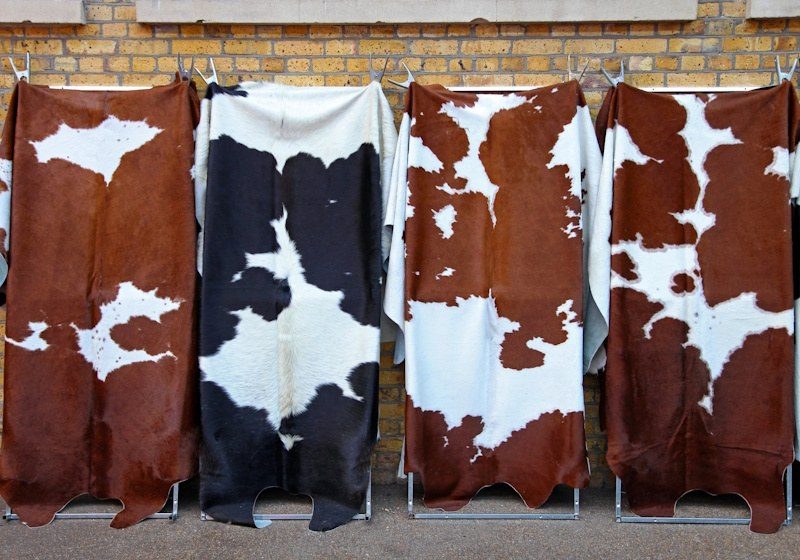 Study doubles leather's climate footprint, challenging the byproduct defense