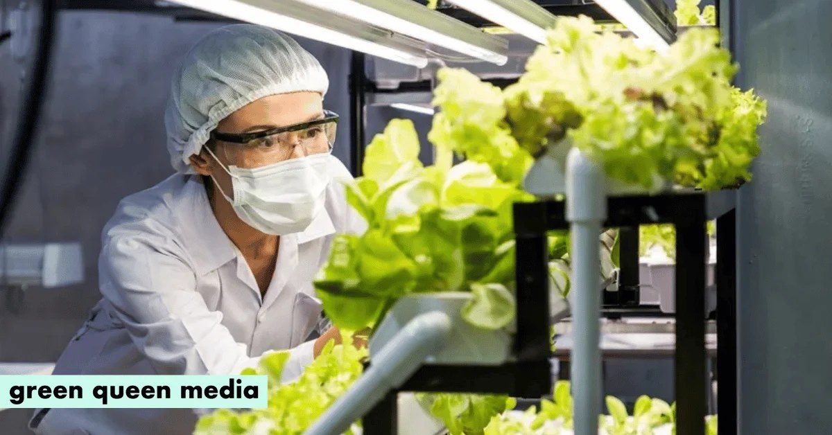 Imperial College scientists grow real animal myoglobin in tobacco and lettuce