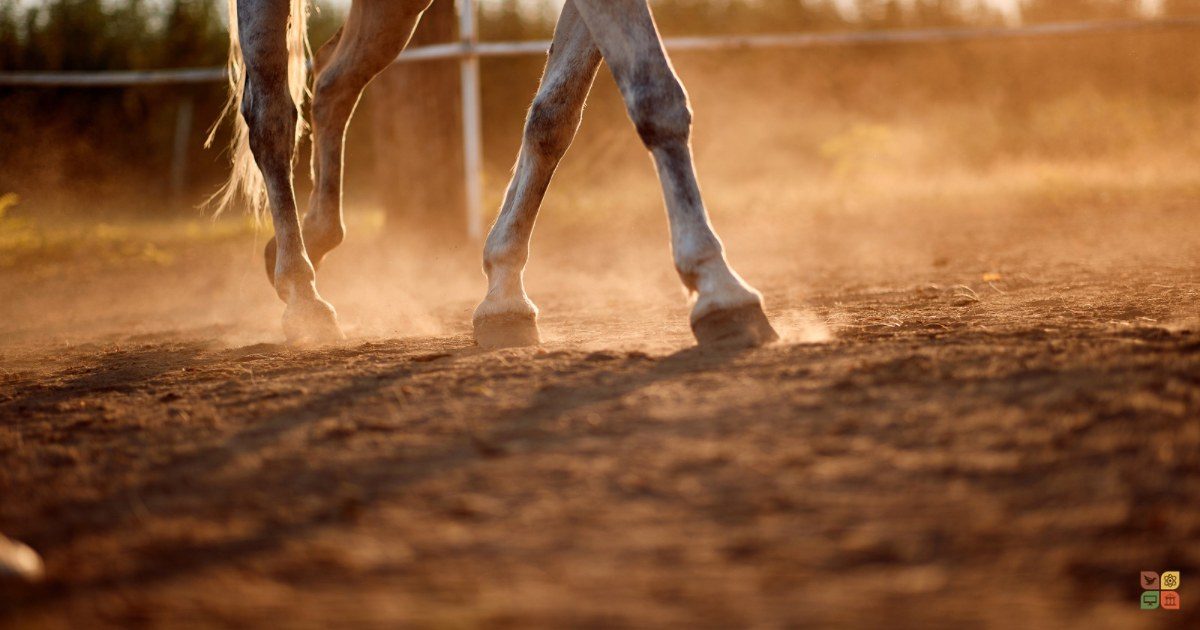 California desert-town activist files an ordinance banning rodeo gear like spurs