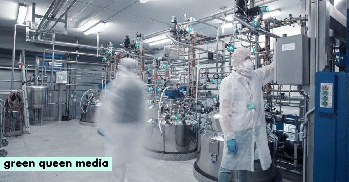 ADM wins $2.23M Iowa tax credit to scale Every Co.'s egg protein