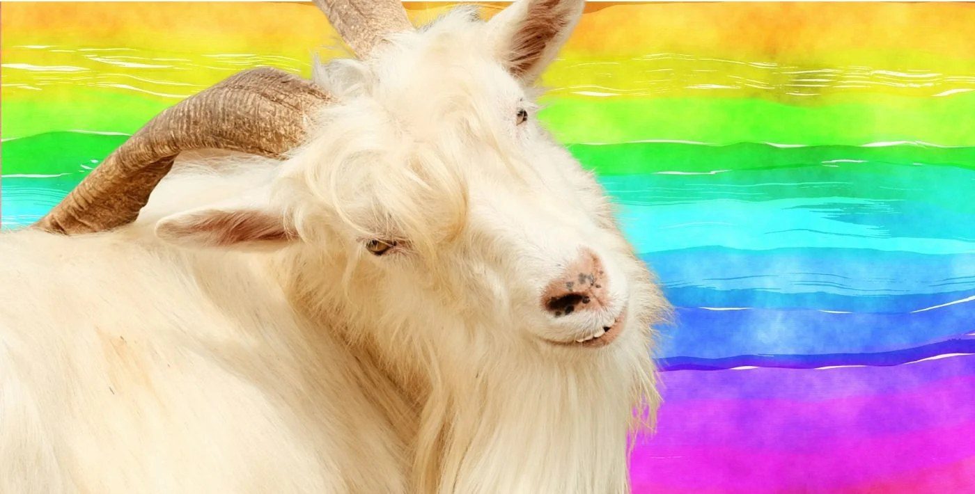 FAO Schwarz Bans Mohair After PETA Films Goats Abused in South Africa