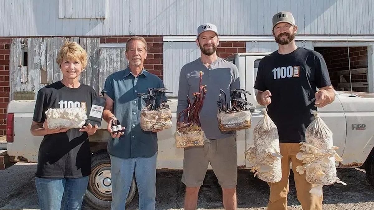 Faaborg family converts Iowa hog barn into a specialty mushroom farm with Mercy For Animals' help