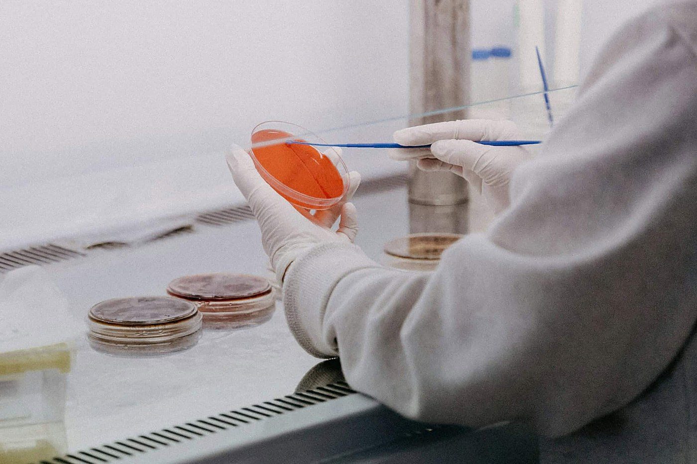 EFSA names cultivated meat and precision fermentation as areas needing in-house expertise