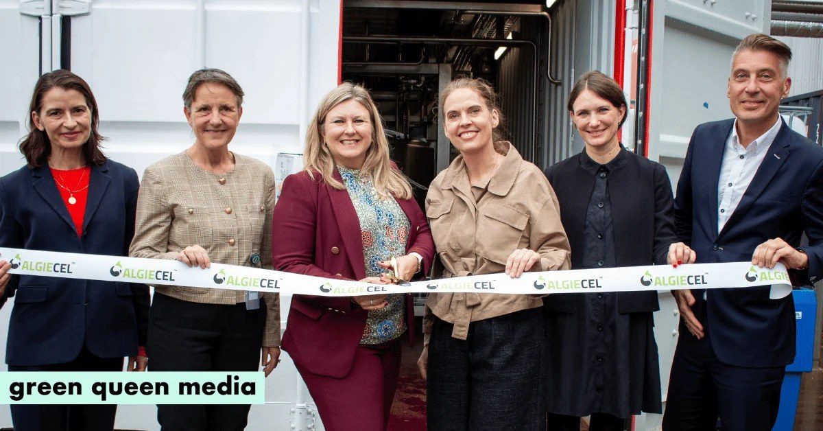Danish startup Algiecel opens industrial microalgae plant to replace fish oil in pet food and cosmetics