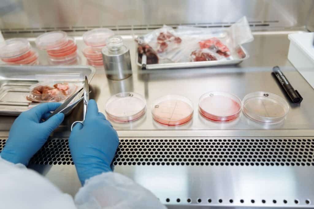 EFSA says it must build cultivated meat and fermentation expertise before applications arrive