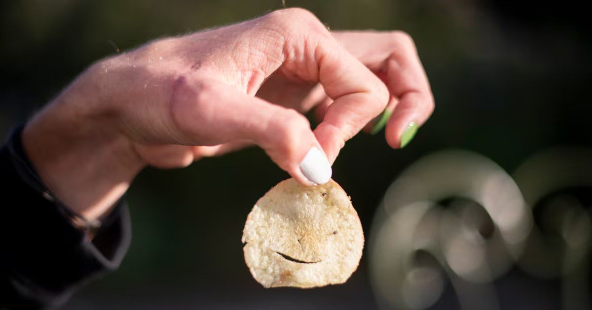 EU lawmakers weigh exempting meat-flavoured crisps from the "meaty names" ban