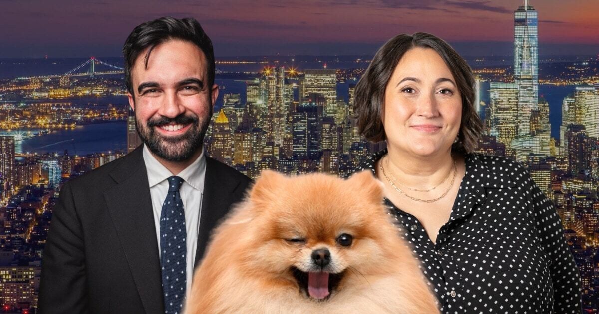 New York City names animal-rights campaigner Allie Taylor to lead its animal welfare office